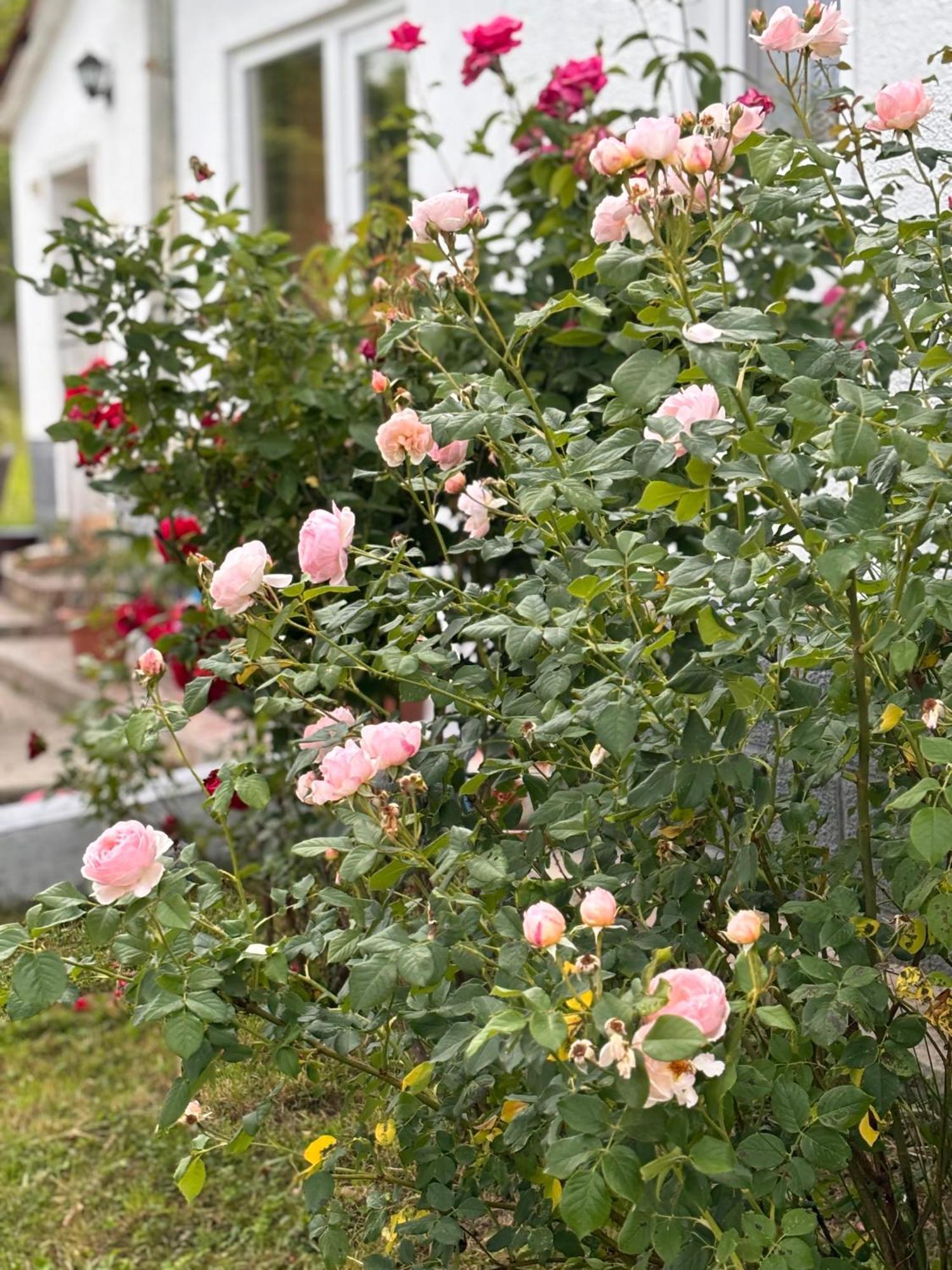 Country House Hatagel Esterno foto